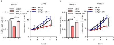 Corrigendum: MYC Enhances Cholesterol Biosynthesis and Supports Cell Proliferation Through SQLE